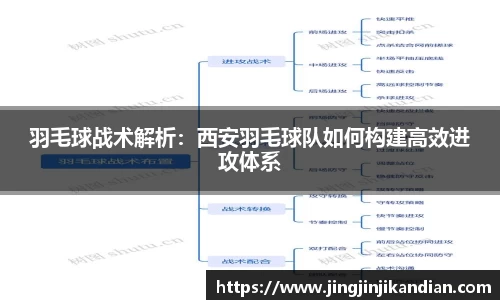 完美体育在线入口官网