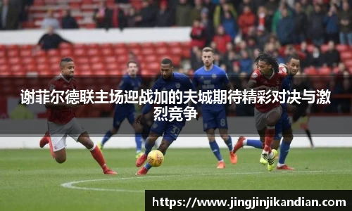 完美体育在线入口官网